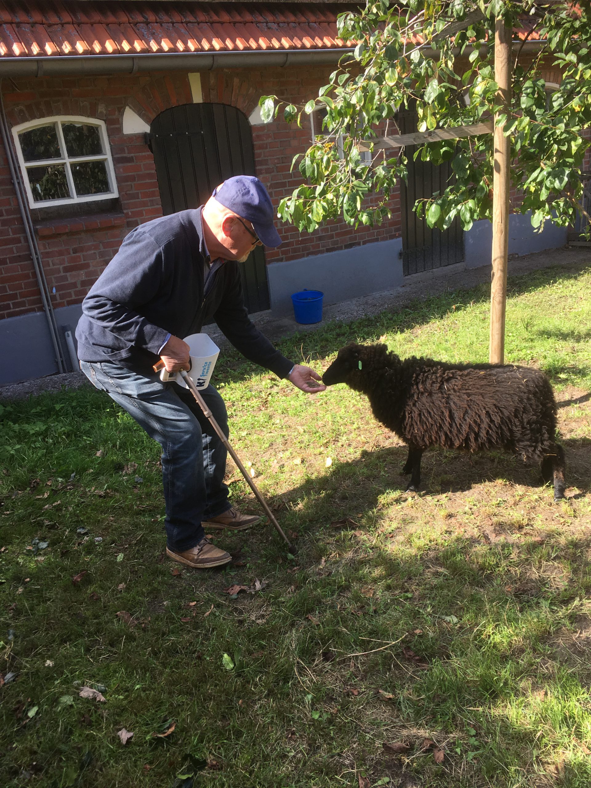aanbod-erve-knippert